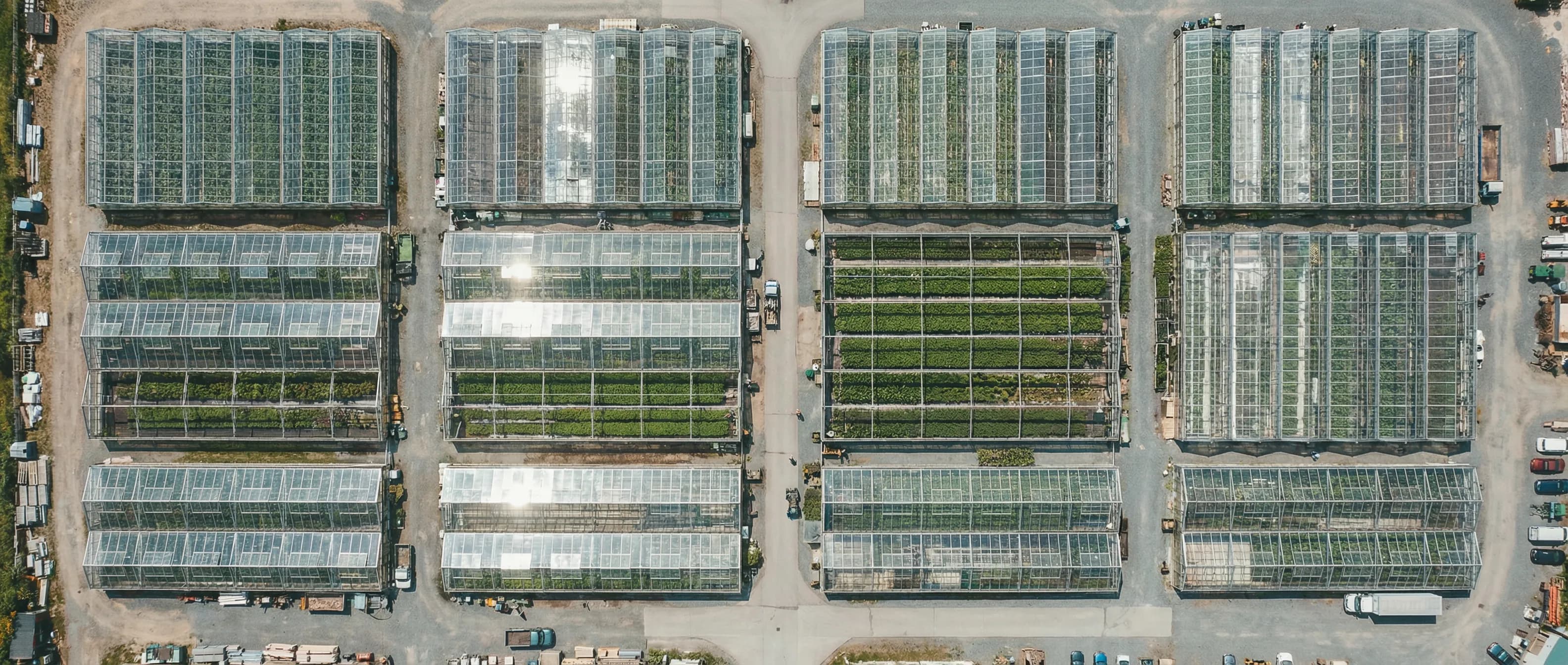 Growing Portfolio Companies with Generative AI