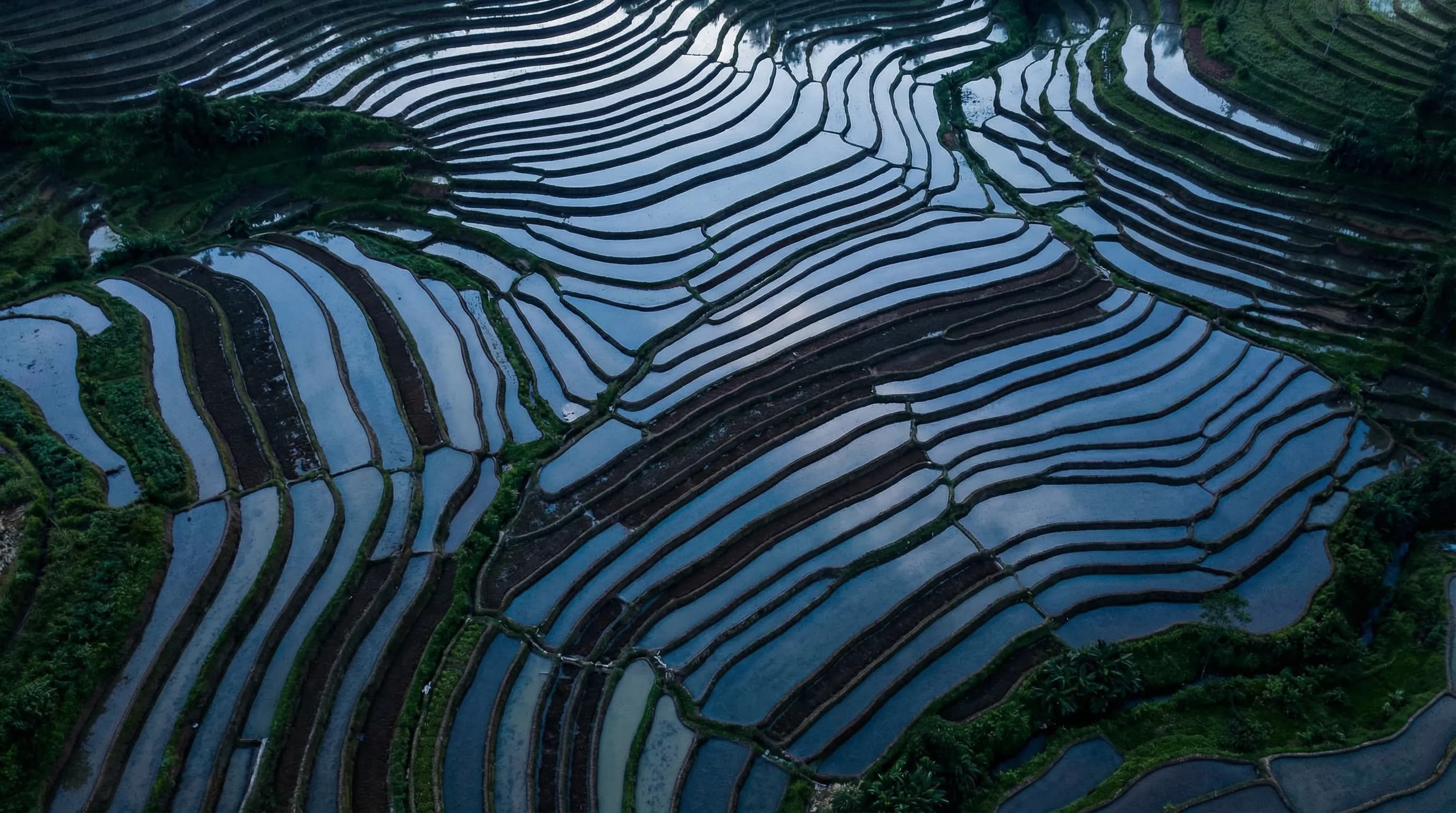 Structured intelligence